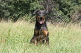 BEAUCERON 082